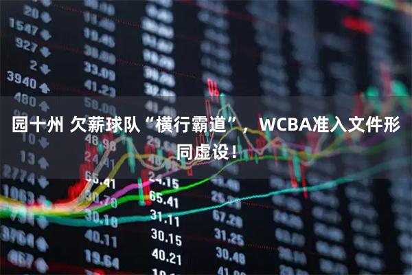 园十州 欠薪球队“横行霸道”，WCBA准入文件形同虚设！