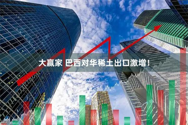 大赢家 巴西对华稀土出口激增！